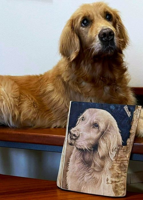 Golden Retriever